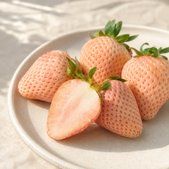 Korean snowberry strawberry for gifting and desserts