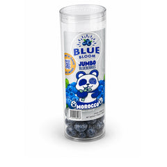 Large Morocco jumbo blueberries with crisp juicy texture