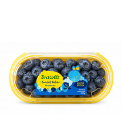 Limited Edition Driscoll's Sweetest Batch normal size Blueberries with small sweet snackable berries