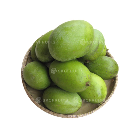 Kuini Mango (Mangifera odorata)