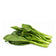 files/malaysia-chye-sim-yu-choy-sum.jpg
