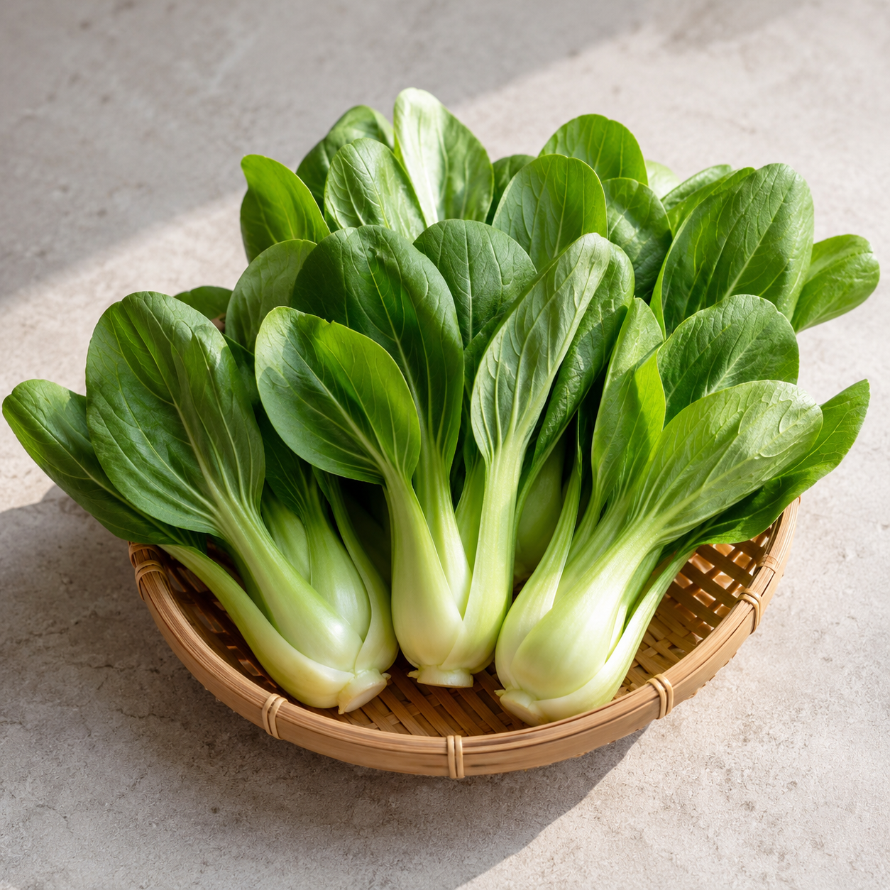 Milk cabbage 奶白菜 for bok choy stir fry and garlic soy sauce dishes