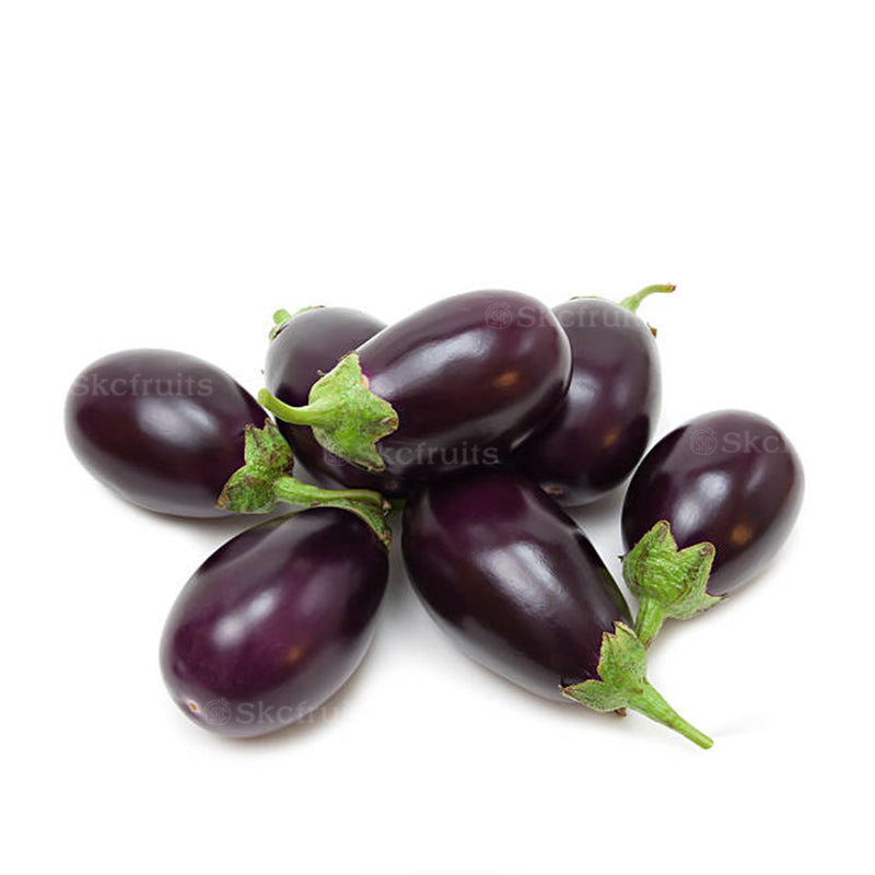 Mini eggplant also known as small eggplant and baby brinjal