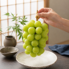 Muscat grapes Japan gift box with green Shine Muscat bunches