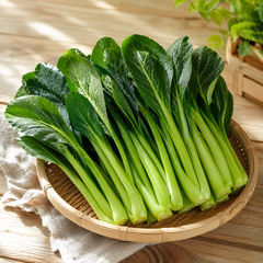 Mustard spinach leafy green with mild peppery flavour for Asian cooking
