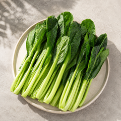 Mustard vegetable 小松菜 also known as Japanese mustard spinach