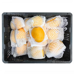 Myanmar Diamond Mango with sweet fragrant flesh