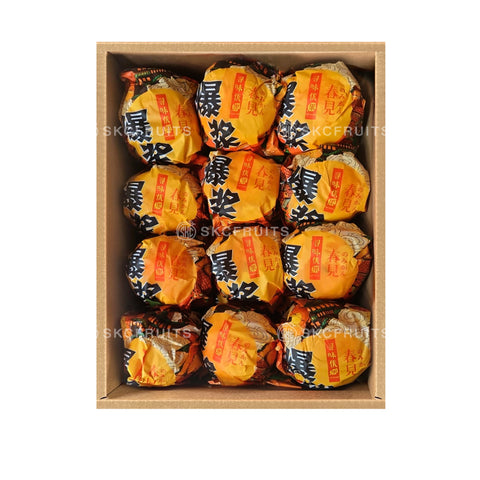 Chun Jian Orange (Pa Pa Gan) 春见粑粑柑