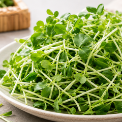 Fresh dou miao pea shoots with crunchy sweet green pea sprout texture