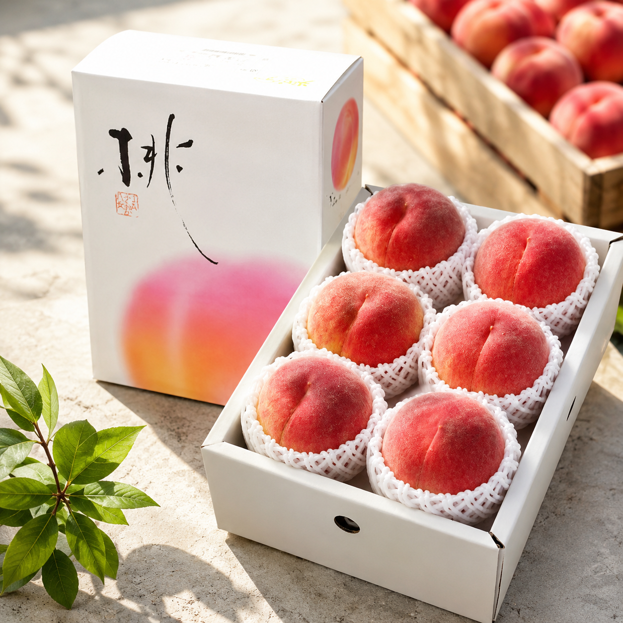 Peach season in Japan with Fukuoka Yame greenhouse peach