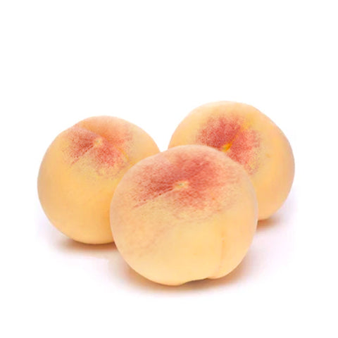 Japanese Hikawa Hakuhou White Peach