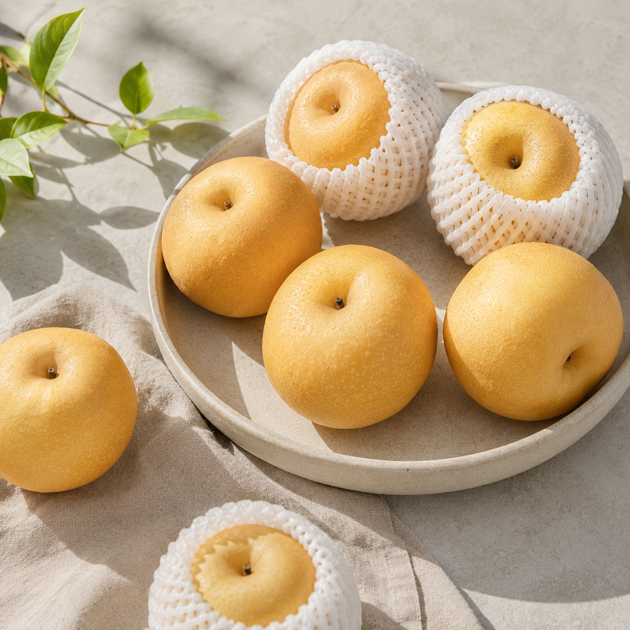 Feng Shui Pear suitable for fresh eating and pear white fungus soup
