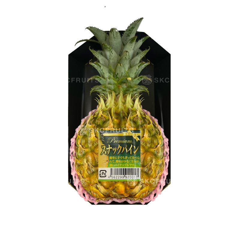 Bogor Snack Pine Japanese Pineapple
