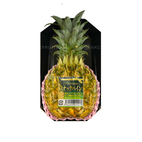 Bogor Snack Pine Japanese Pineapple
