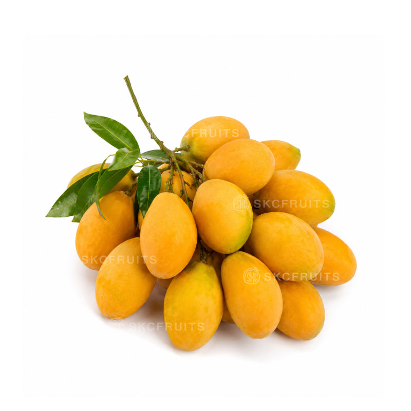 Plum Mango also known as Marian Plum