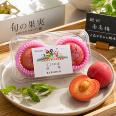 Premium Japanese plum with high sweetness and low acidity