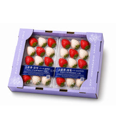 Premium Japanese red and white assorted strawberry gift box