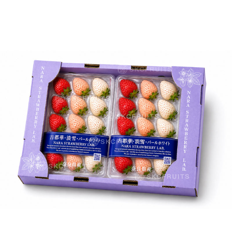 Premium Japanese tri colour strawberry gift box with red pink and white strawberries