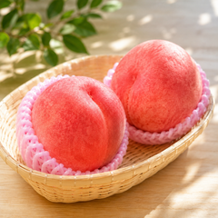Premium Nagano peach gift box for sharing and gifting in Singapore