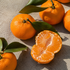 Premium Shizuoka mikan style gift box with sweet Japanese citrus