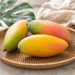 Rainbow Mango Thailand fruit for fresh eating and desserts