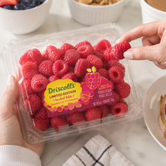 Fresh raspberries for raspberry tart and cake toppings
