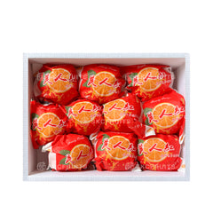 Close-up of Red Beauty Oranges Hong Mei Ren Mandarin Orange showing juicy premium mandarin flesh
