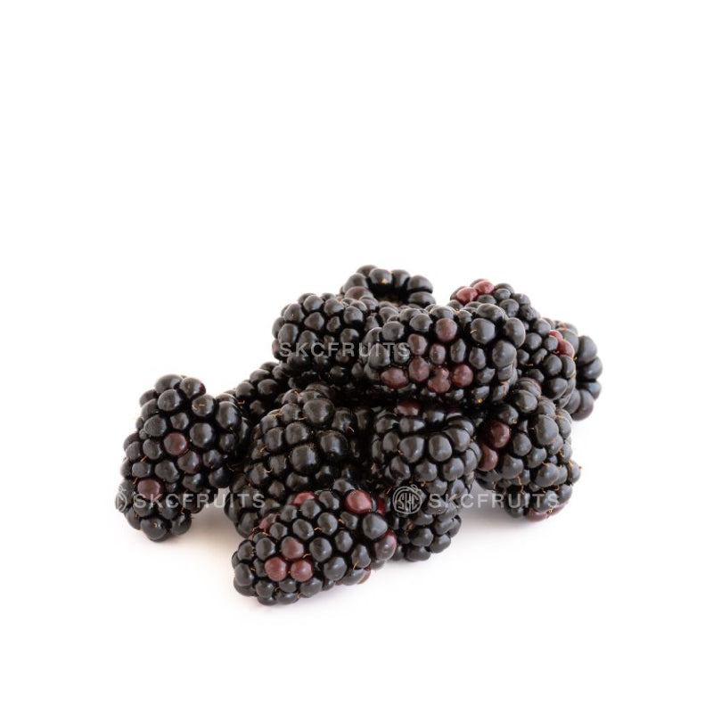 Red mulberry fruit with soft juicy berry-like texture
