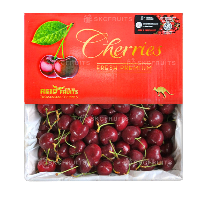 A pack of Reid Fruits Red Tasmanian Cherries, showing the cherries in a clear plastic packaging with a label displaying the brand and product details.