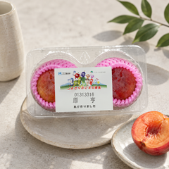 Reigyoku Shinano Pearl Plum seasonal Japanese stone fruit