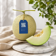 Rock melon Malaysia slices served chilled on a fruit platter