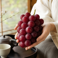 Ruby grape with brilliant red grape color