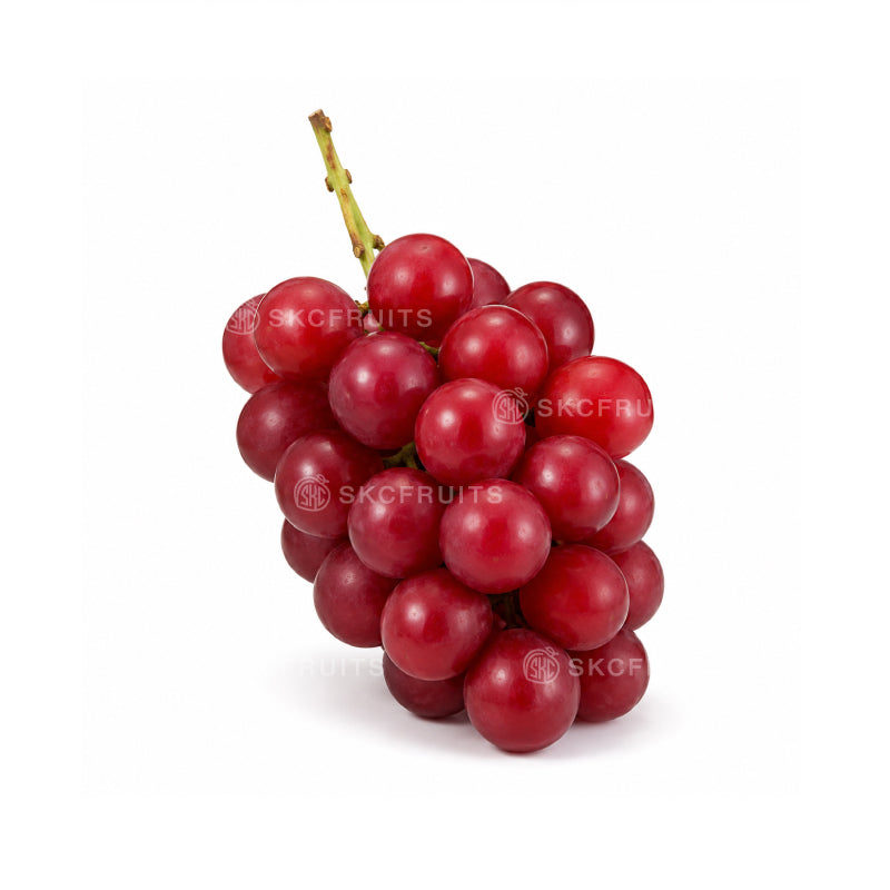 Ruby Roman grapes available in Singapore as premium Japanese fruit