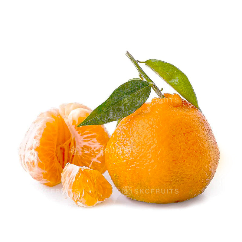 Close-up of Sakura Cat Chun Jian Pa Pa Gan Orange 春见耙耙柑 showing juicy festive citrus flesh
