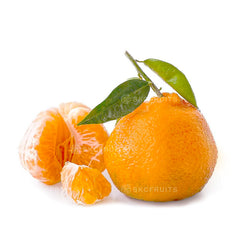 Close-up of Sakura Cat Chun Jian Pa Pa Gan Orange 春见耙耙柑 showing juicy festive citrus flesh
