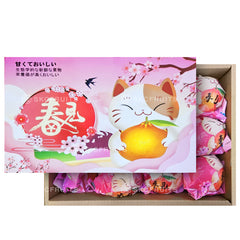 Sakura Cat Chun Jian Pa Pa Gan Orange 春见耙耙柑 in festive Chinese New Year packaging
