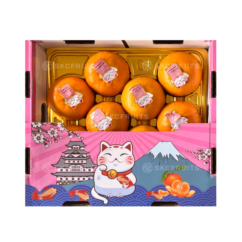 Sakura Mikan Mandarin Orange in festive Chinese New Year gift packaging
