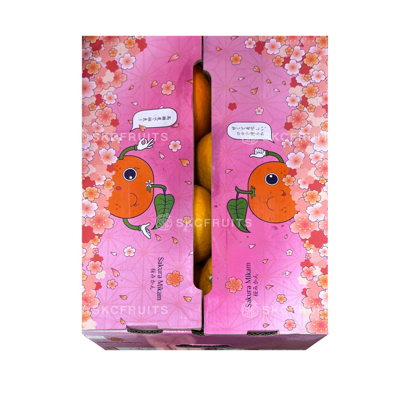 Sakura Cat Mikam Mandarin Orange