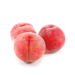 Kasugai Hikawa Hakuhou White Peach