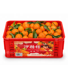 Sha Tang Ju Tangerines 沙糖桔 1 basket of sweet Chinese citrus
