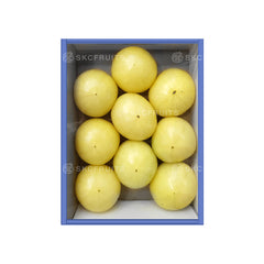 Shizuoka Tsukiroman tomato with golden yellow fruit tomato skin