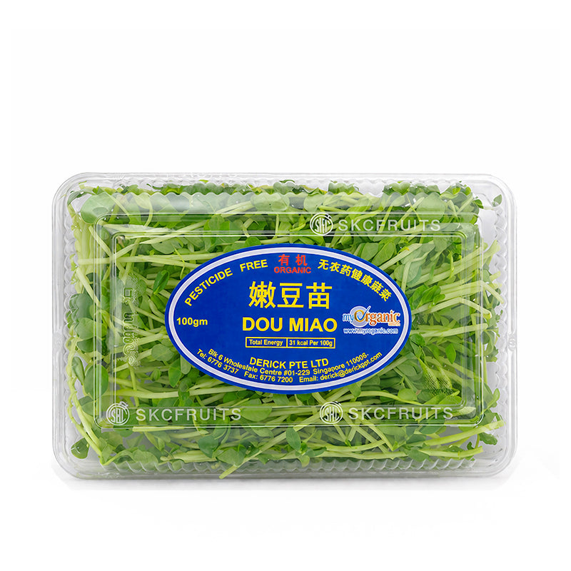 Singapore Organic Pea Sprouts Dou Miao 豆苗 in 100g pesticide-free pack