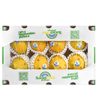 Ecuador Dragon Fruit | Ecuadorian Dragon Fruit