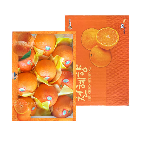 Cheon Hye Hyang Jeju Mandarin Orange