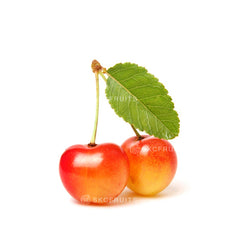 Skylar Rae Rainier Cherries