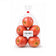 files/small-fuji-apples-fuji-apple-singapore-south-africa-skc-fruits-main.jpg