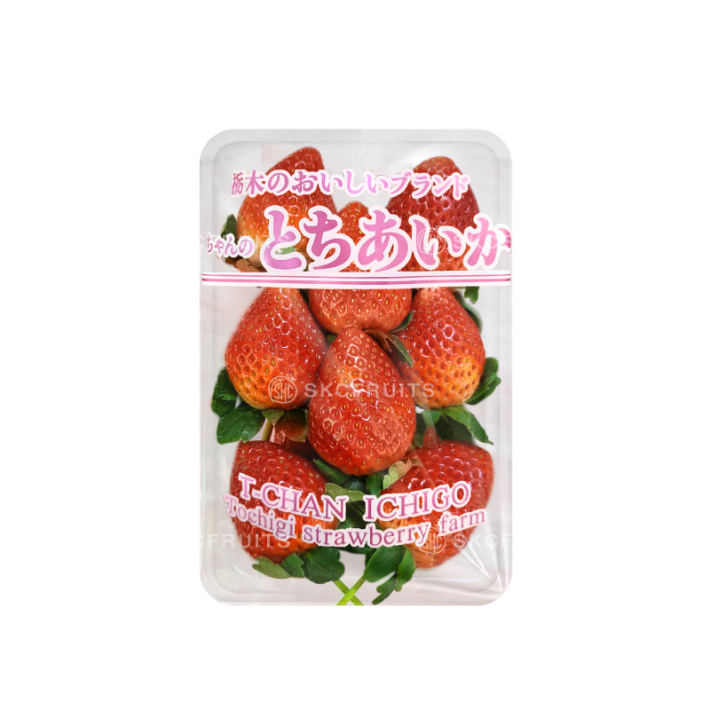 T-chan Ichigo Tochigi Red Strawberries