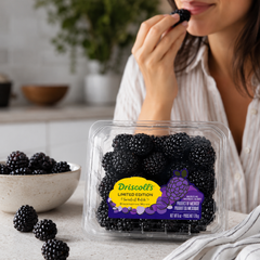 Sweet blackberries for berry juice smoothies and yoghurt bowls