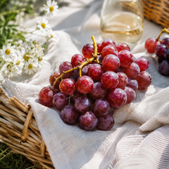 Sweet Celebration red seedless grapes with crisp firm texture
