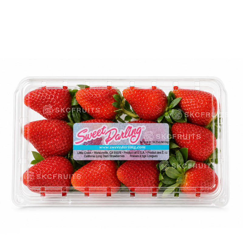 Premium Sweet Darling long stem strawberries with elegant presentation